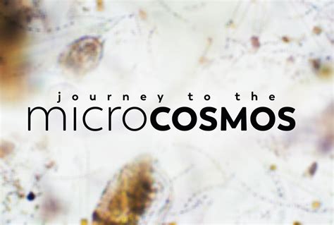 Journey to the Microcosmos: An Unforgettable Educational Adventure About the Hidden Wonders of Life!