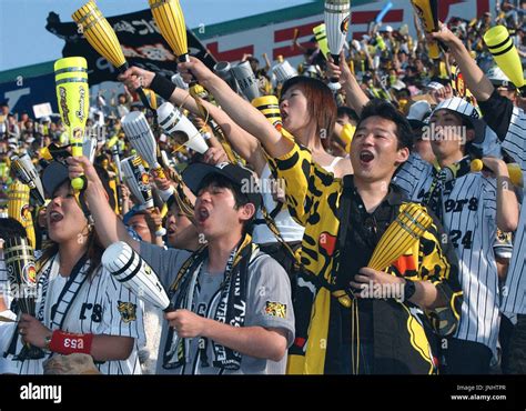 大勢 阪神ファン ～虎党の熱狂とその深層心理～